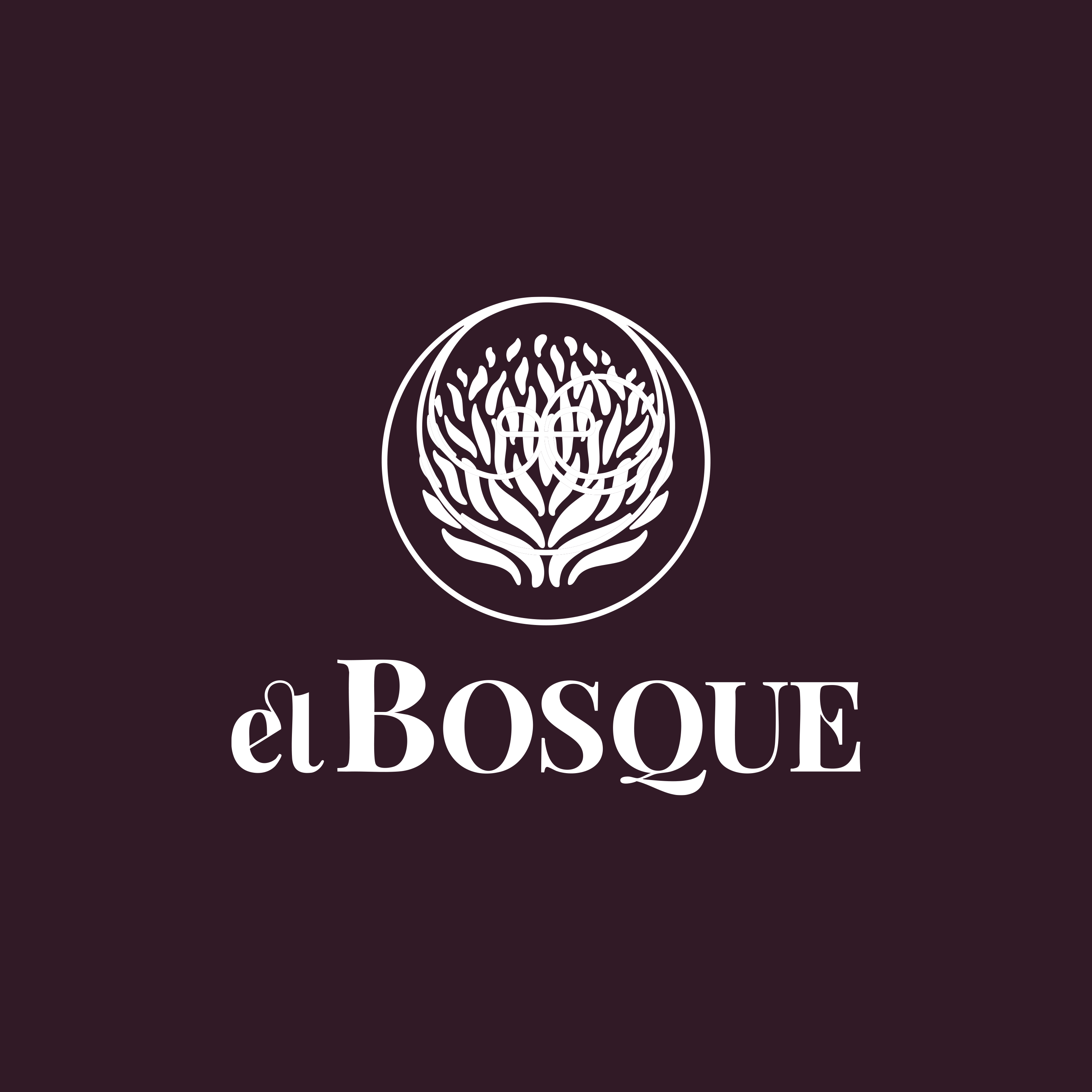 EL BOSQUE BOULEVARD