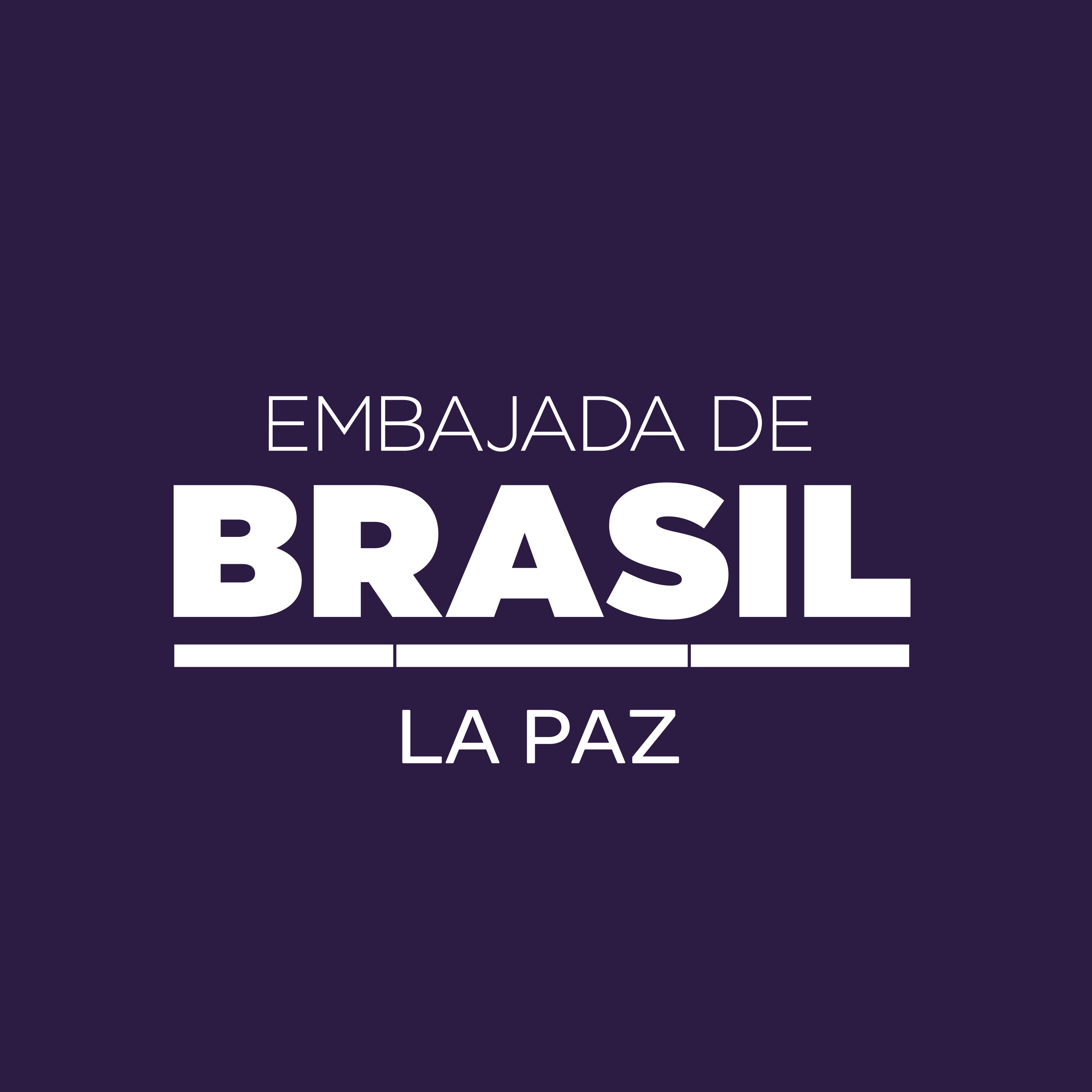 EMBAJADA DE BRASIL